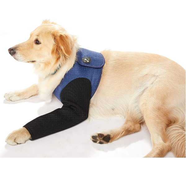 Vet Recommended Cone Alternatives for Dogs Preventive Vet